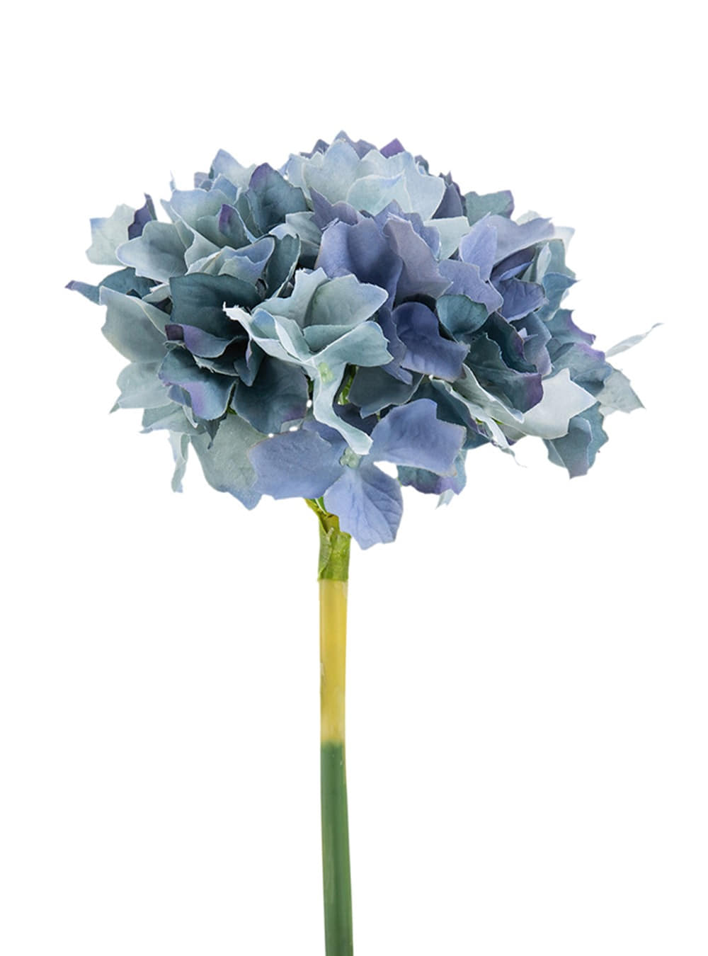 Hydrangea - Multi-Blue