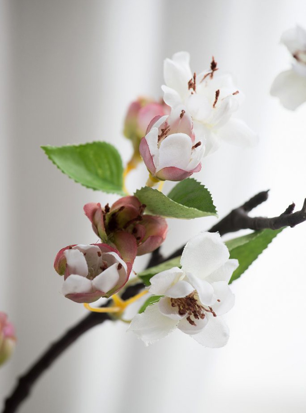 Apple Blossom Stem,Cream